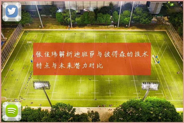 张佳玮解析迪班萨与彼得森的技术特点与未来潜力对比