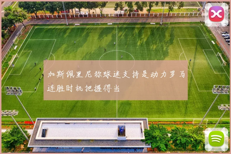 加斯佩里尼称球迷支持是动力罗马连胜时机把握得当